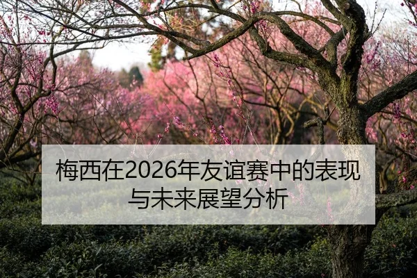 梅西在2026年友谊赛中的表现与未来展望分析