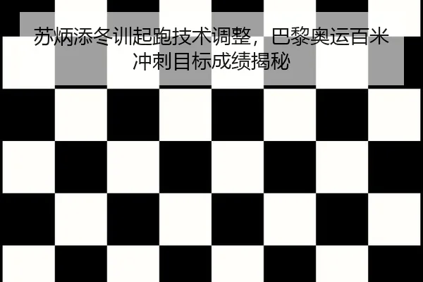 su-bing-tian-dong-xun-qi-pao-ji-shu-tiao-zheng-ba-li-ao-yun-bai-mi-chong-ci-mu-biao-cheng-ji-jie-mi-3-889.jpg
