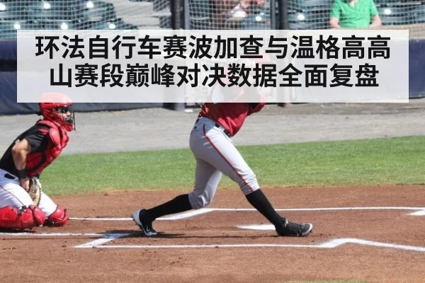 环法自行车赛波加查与温格高高山赛段巅峰对决数据全面复盘